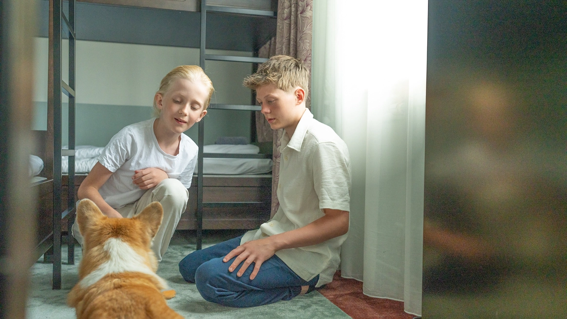 hundvänligt familjerum